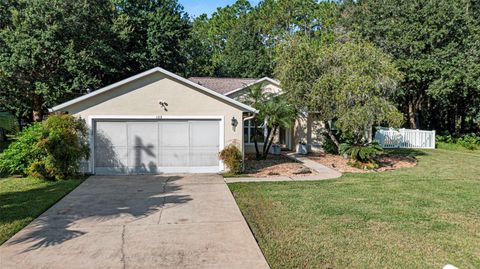 A home in PALM COAST