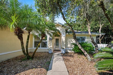 A home in PALM COAST