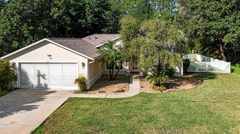 A home in PALM COAST