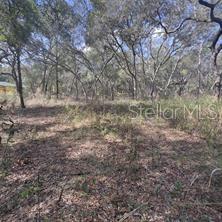 RIDGE MANOR ESTATE - Land