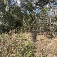 RIDGE MANOR ESTATE - Land