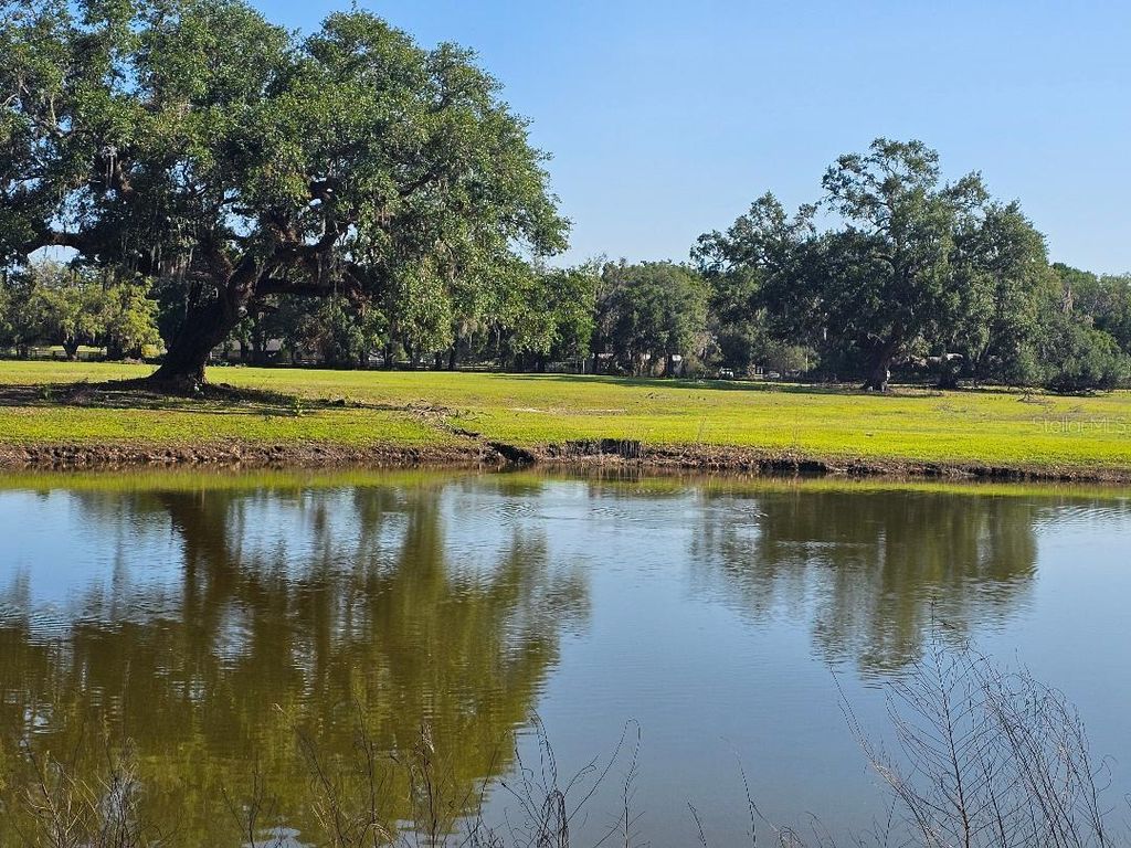 Photo of Arena Road, Dade City, FL 33523 (MLS # TB8376399)