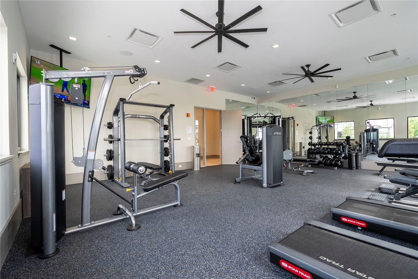 PARADISO GRANDE PH 2 - Residential