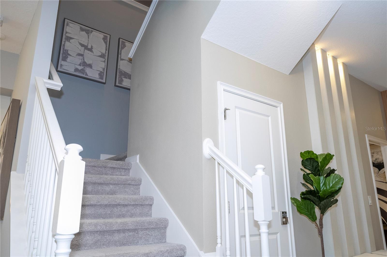 PARADISO GRANDE PH 2 - Residential