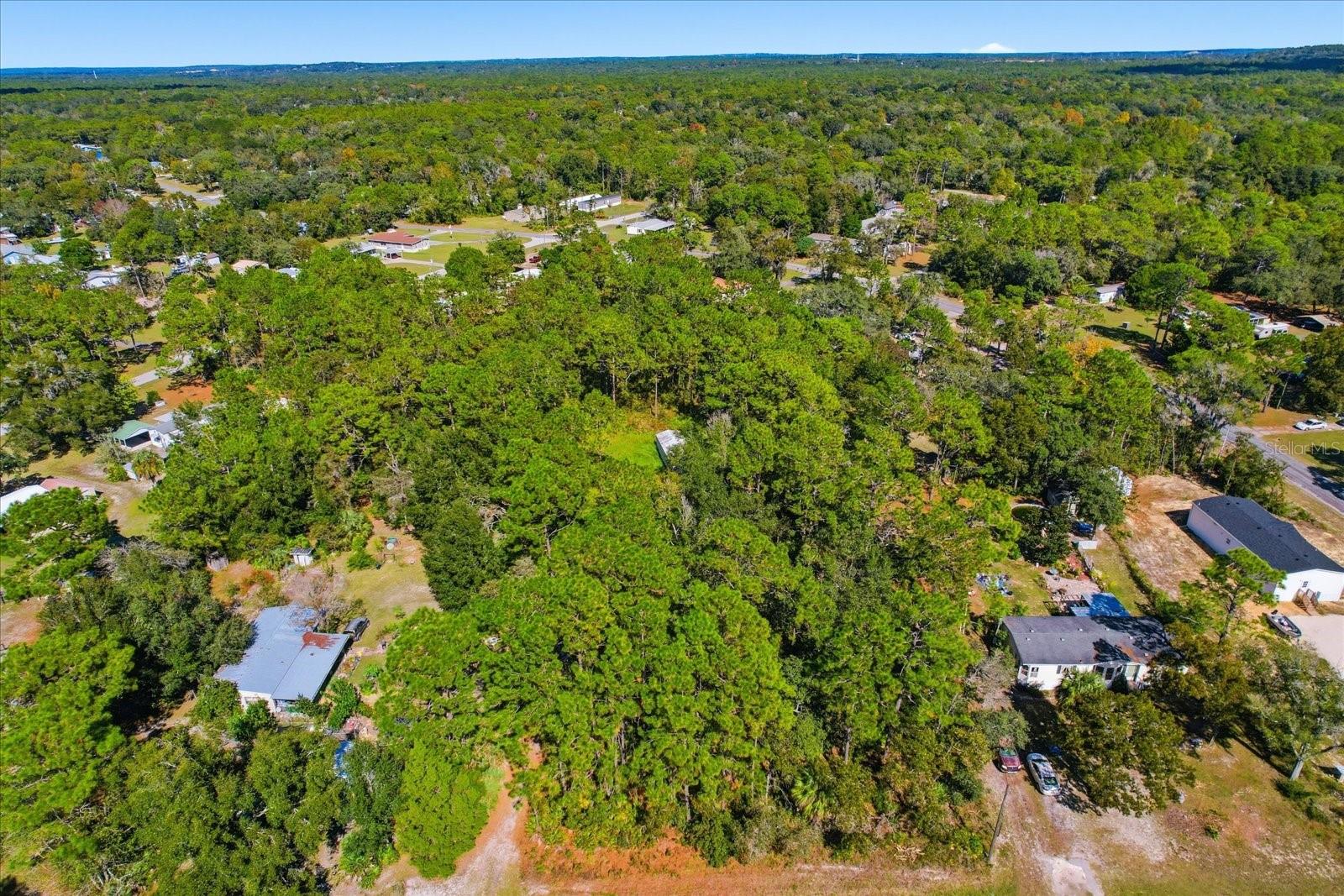 HOMOSASSA UNIT 09 - Land