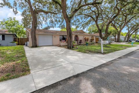 A home in PORT RICHEY