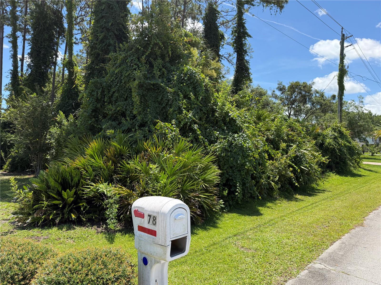78 BARRINGTON DRIVE