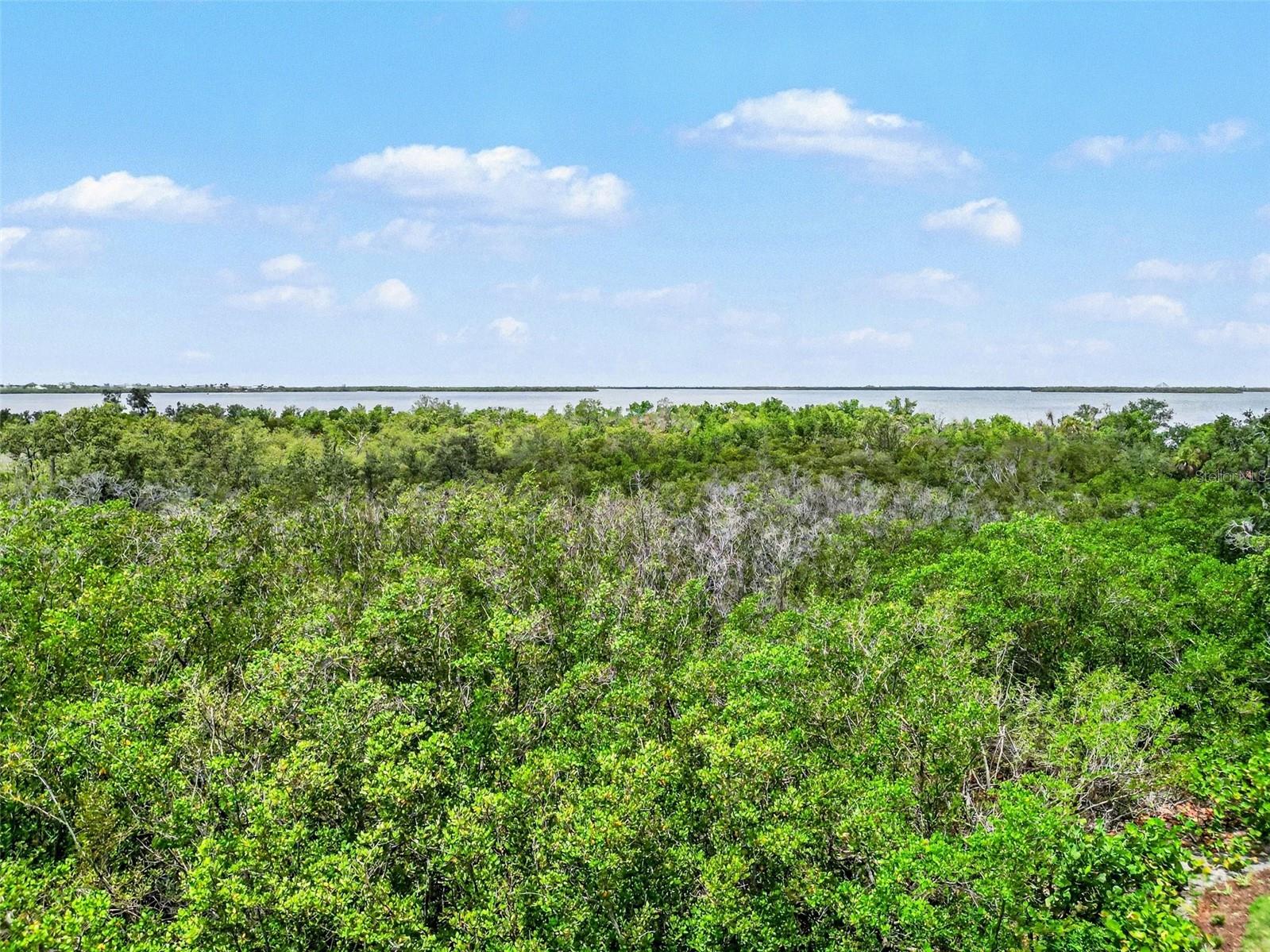 THE ESTUARIES II - Residential