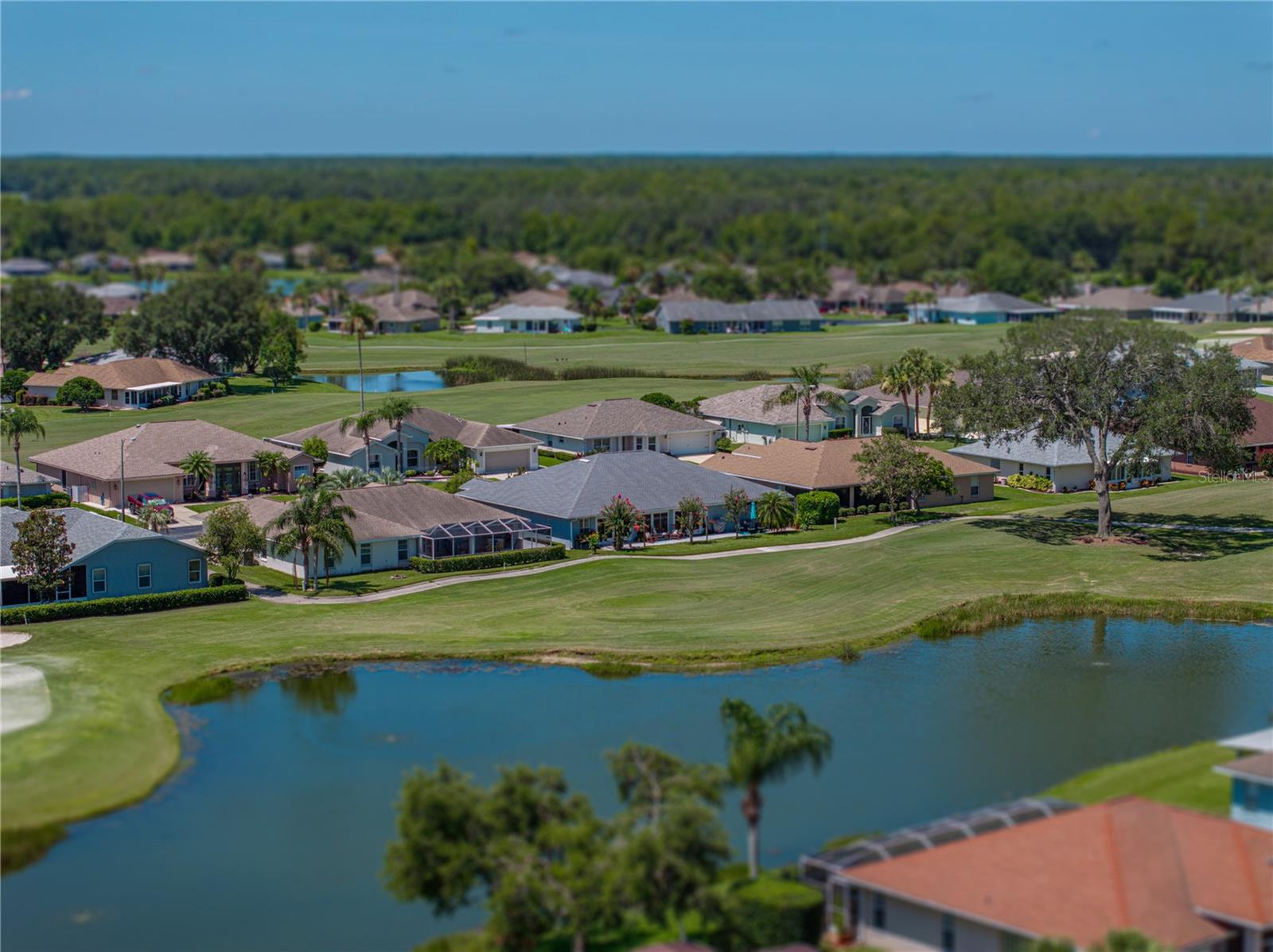 29211 CADDYSHACK LANE