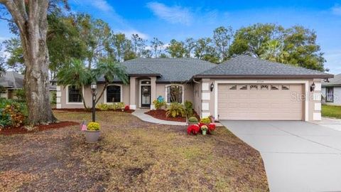 A home in MONTVERDE