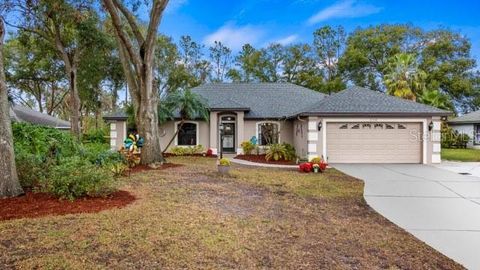 A home in MONTVERDE