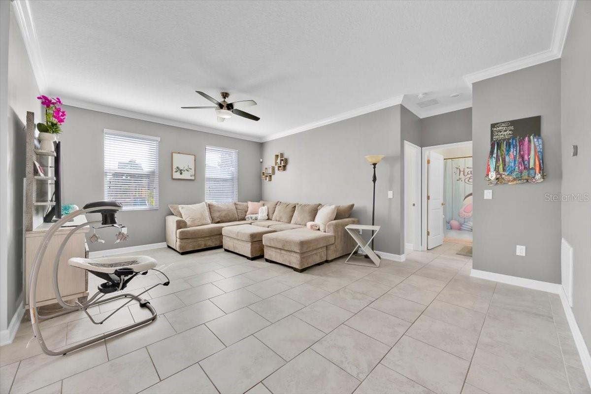 3853 CORTLAND DRIVE