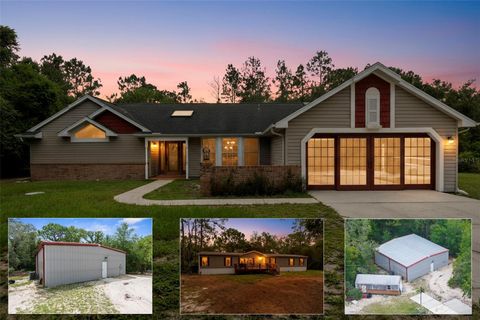Photo of 17155 Dalberg Drive, Spring Hill, FL 34610 (MLS # TB8411439)