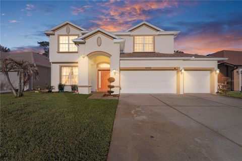 Photo of 10702 Deerberry Drive, Land O Lakes, FL 34638 (MLS # TB8486485)