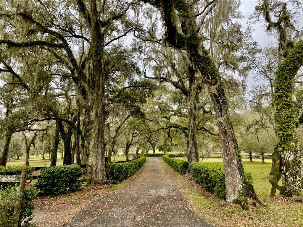 MOORE ROAD - Residential