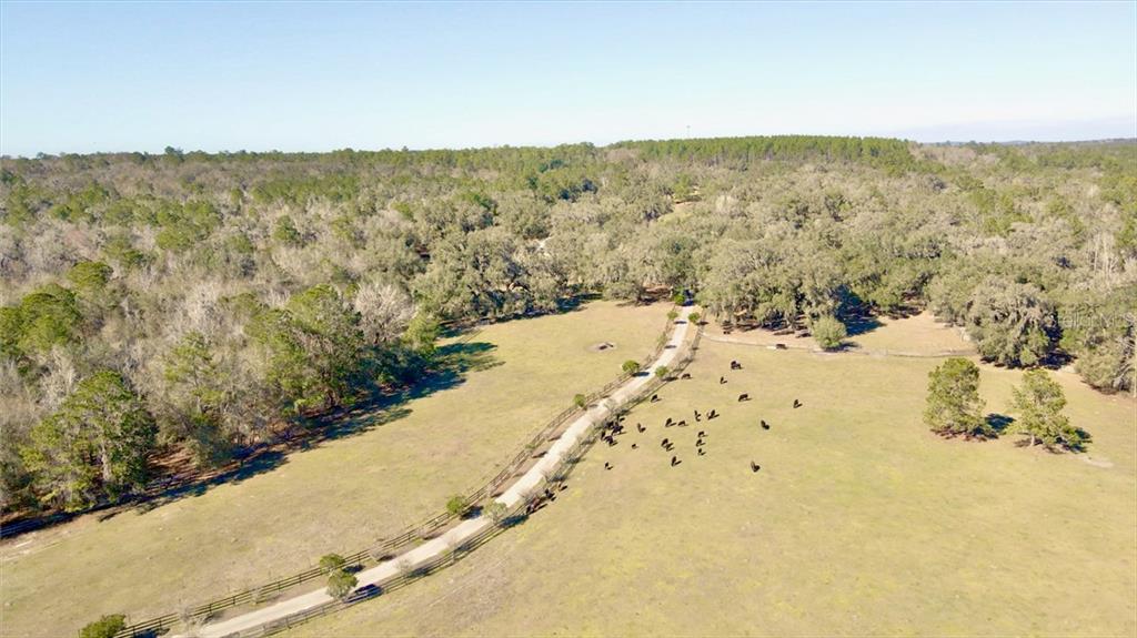 MOORE ROAD - Residential