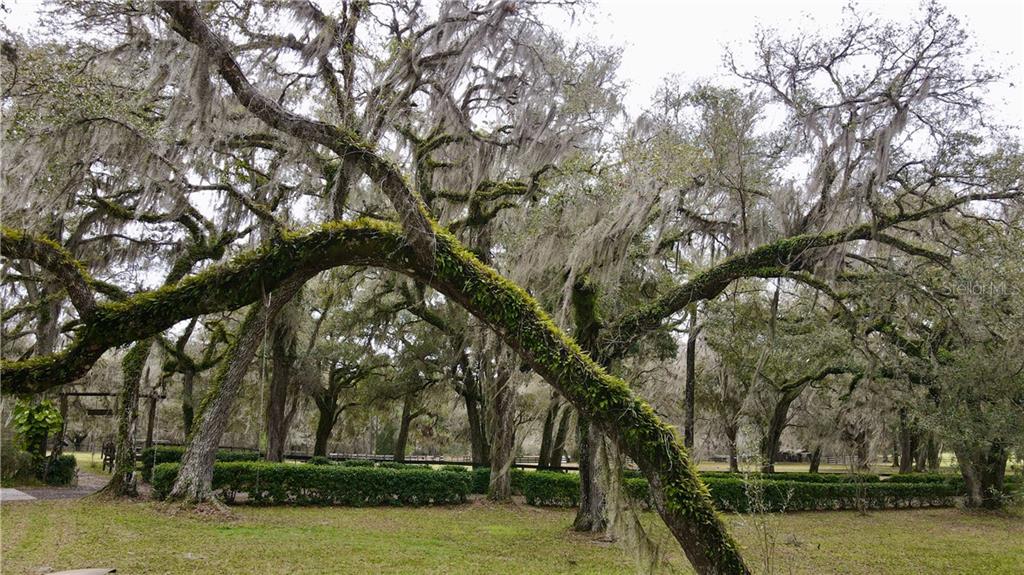 MOORE ROAD - Residential