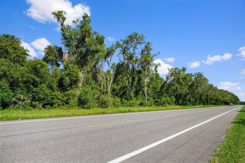 Photo of 0 Treiman Boulevard, Webster, FL 33597 (MLS # W7888742)