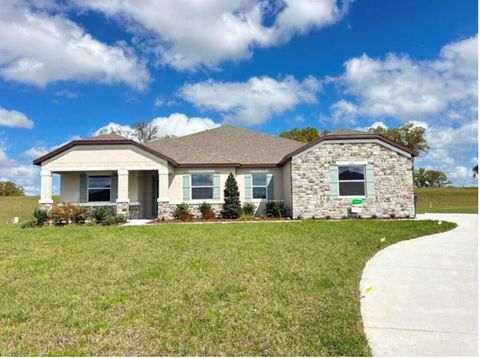 Photo of 10170 White Magnolia Square, Thonotosassa, FL 33592 (MLS # J1000780)