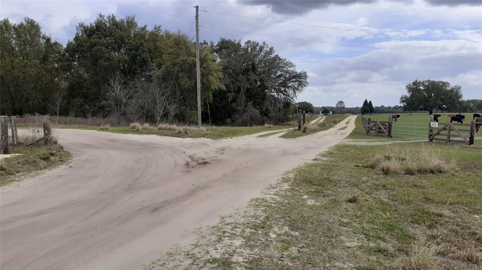 10 acres of vacant farm land mostly dry, ideal for building your farm home in the farm community of Groveland, FL. Some conservation and wetlands. Electricity and road access available.