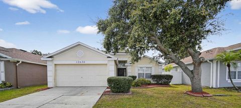 Photo of 12630 Early Run Lane, Riverview, FL 33578 (MLS # TB8472877)