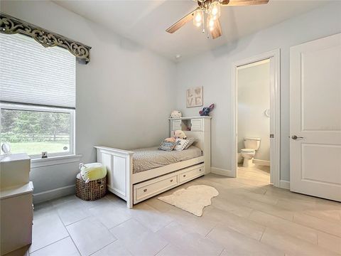 Tiny photo for 20404 Wolf Springs Court, Clermont, FL 34715 (MLS # O6371231)