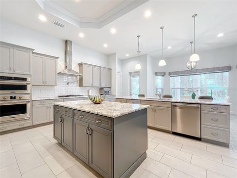 Tiny photo for 20404 Wolf Springs Court, Clermont, FL 34715 (MLS # O6371231)