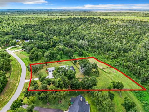 Tiny photo for 20404 Wolf Springs Court, Clermont, FL 34715 (MLS # O6371231)