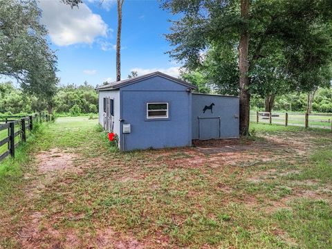 Tiny photo for 20404 Wolf Springs Court, Clermont, FL 34715 (MLS # O6371231)