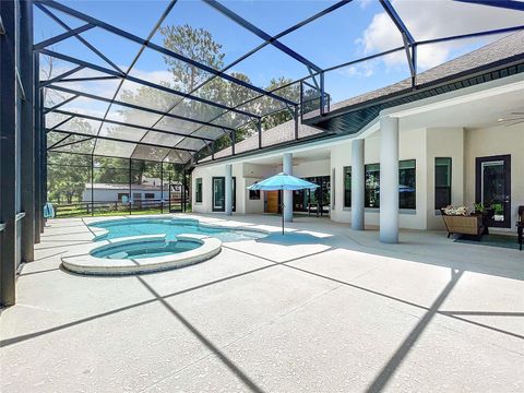 Tiny photo for 20404 Wolf Springs Court, Clermont, FL 34715 (MLS # O6371231)