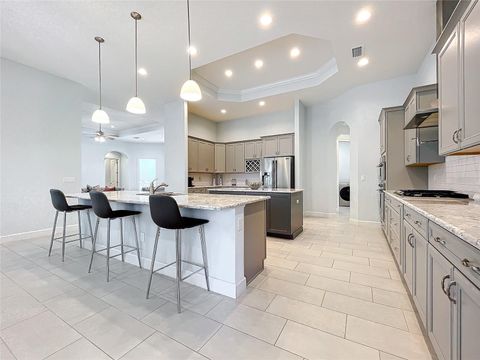 Tiny photo for 20404 Wolf Springs Court, Clermont, FL 34715 (MLS # O6371231)