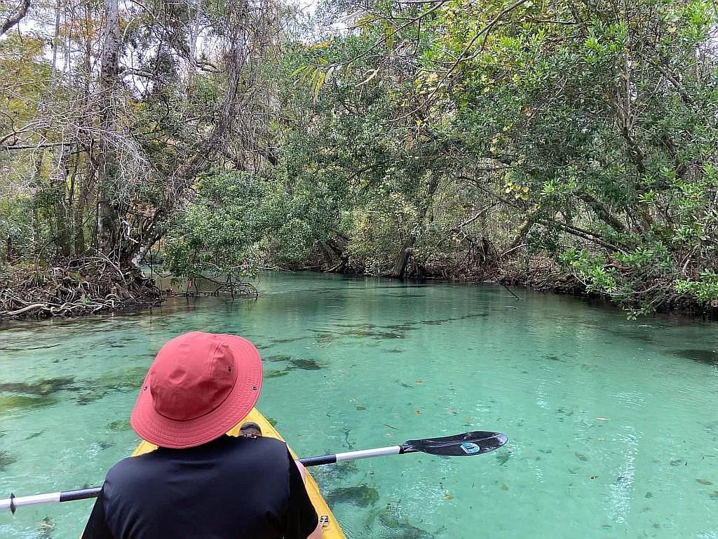 WEEKI WACHEE GARDENS - Residential