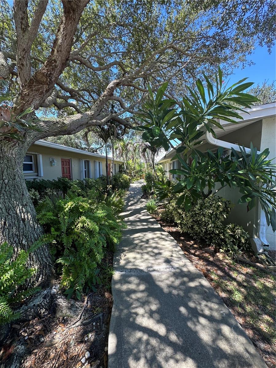 Photo of 236 Woodland Avenue #1, Cocoa Beach, FL 32931 (MLS # O6447805)