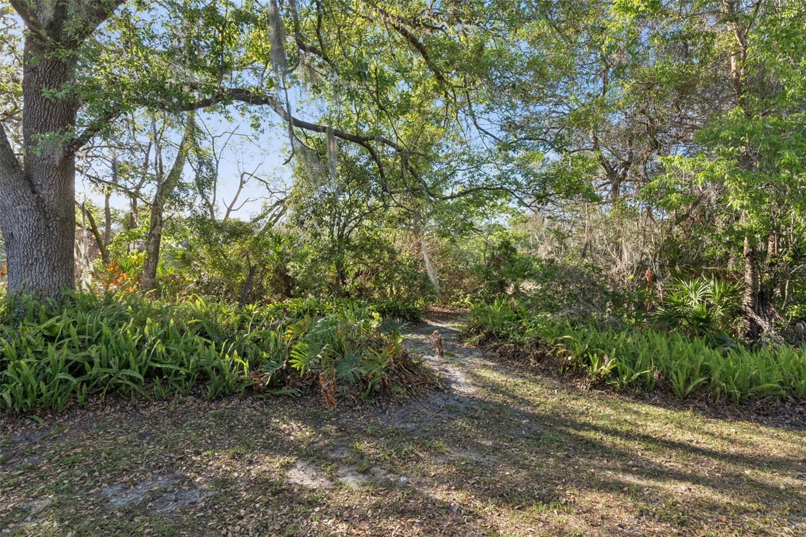 CYPRESS CLUB - Residential