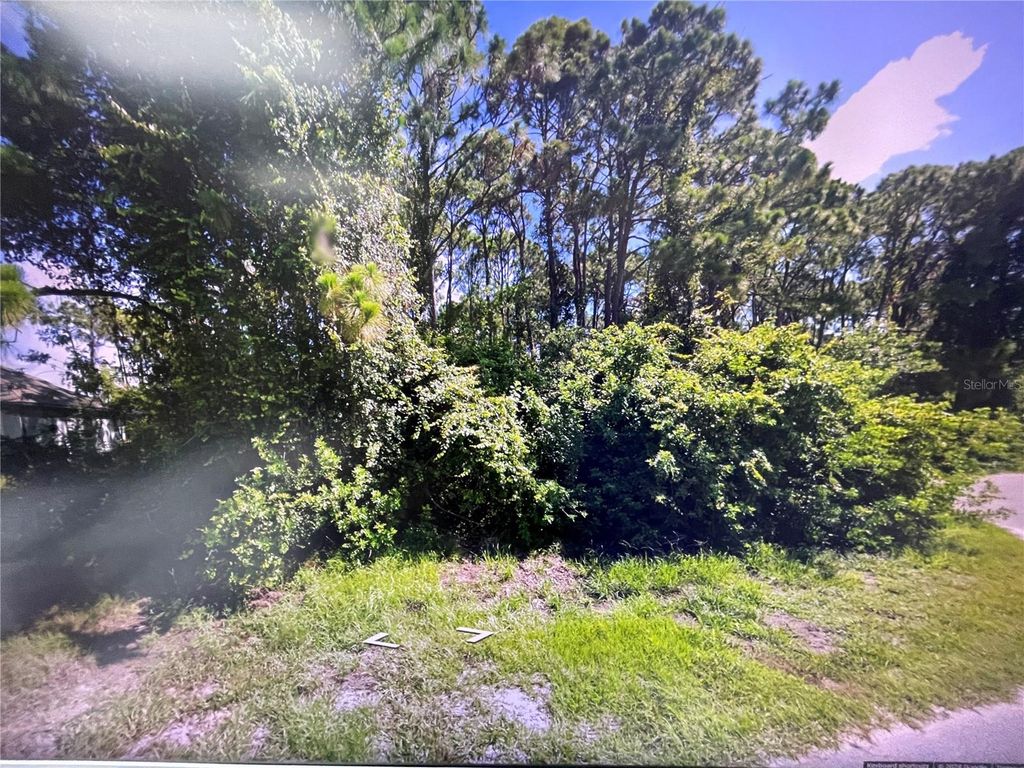 Photo of 106 Turtle Drive, Rotonda West, FL 33947 (MLS # O6195866)