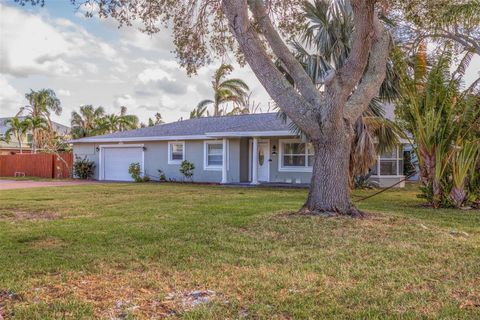 A home in INDIAN ROCKS BEACH