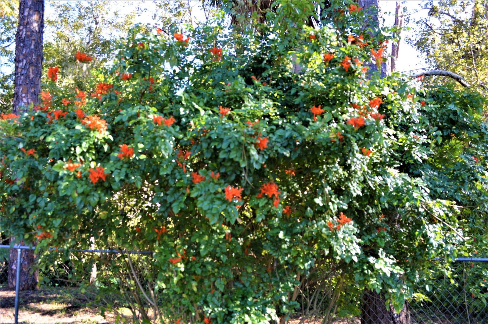 Florida Shores 01 - Residential