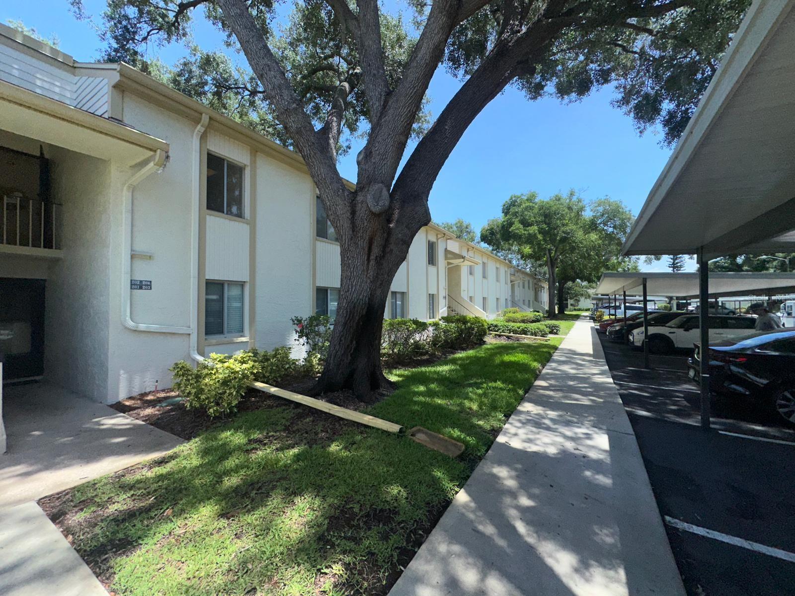 201 PALMETTO COURT 201