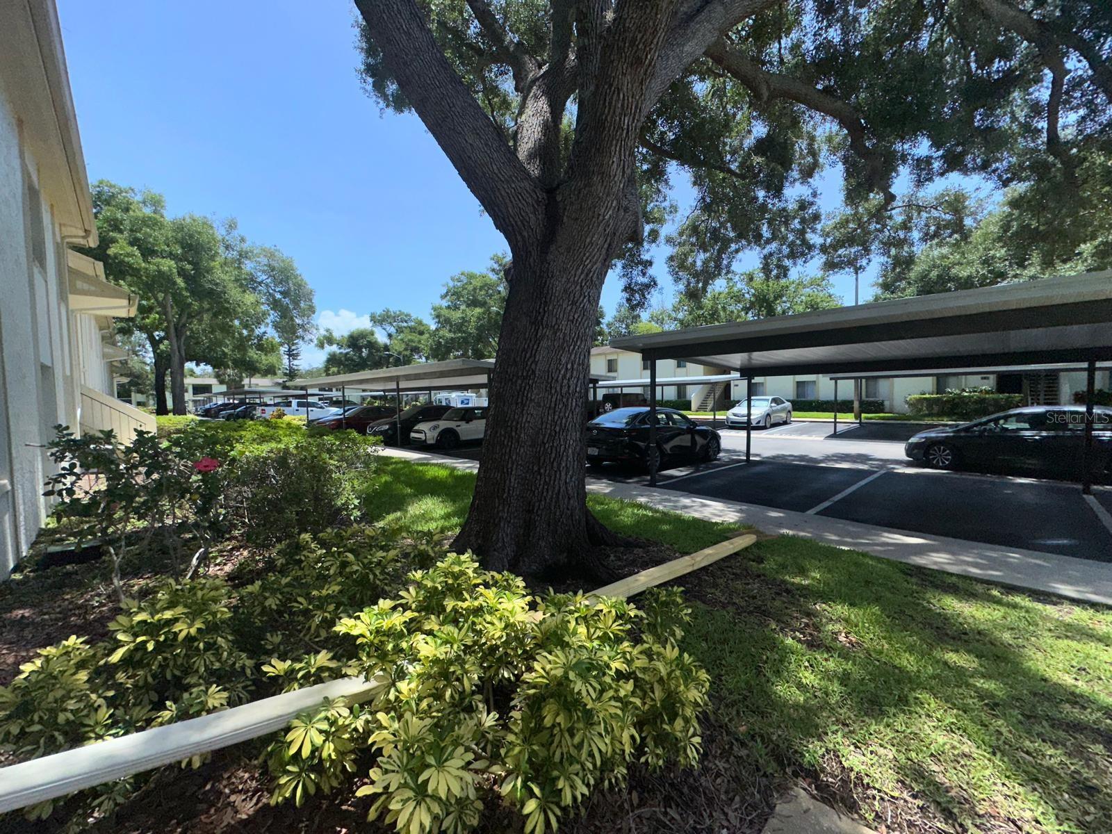 201 PALMETTO COURT 201