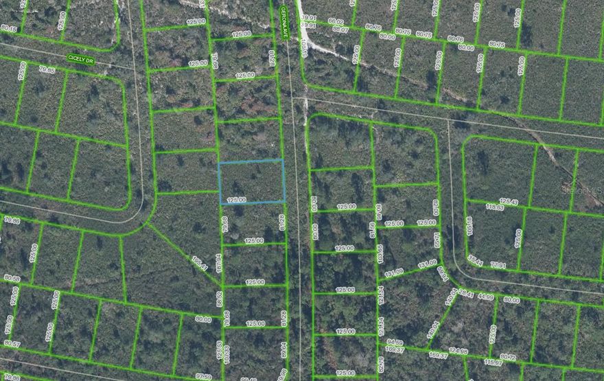 Secure your place in the expanding community of Sun N Lakes with the vacant residential lot at 4055 Gerona Ave. Located in an area experiencing steady growth and new development, this property presents a strong opportunity for land investors looking to purchase in an up-and-coming neighborhood while pricing remains accessible.

Whether held for future appreciation, future construction, or as part of a long-term investment strategy, this lot offers flexibility in a region seeing continued residential expansion. Conveniently positioned near shopping, dining, schools, and recreation, the property benefits from proximity to everyday amenities while still offering a quiet residential setting.

As development continues throughout Highlands County, opportunities to secure residential land in emerging areas like this are becoming increasingly limited. Consider this a timely chance to invest in the future growth of Central Florida land!