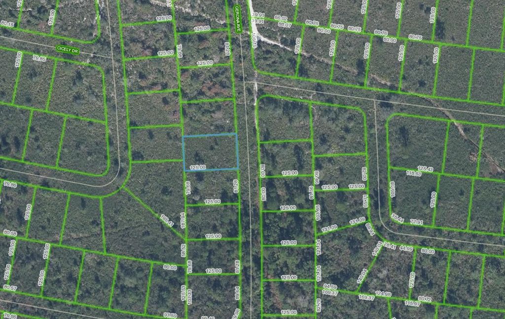 Photo of 4055 Gerona Avenue, Sebring, FL 33872 (MLS # P4938239)