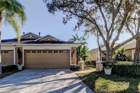 Photo of 19131 Lake Audubon Drive, Tampa, FL 33647 (MLS # TB8470215)