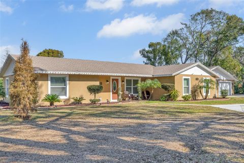 3906 BLOOMINGDALE AVENUE VALRICO FL 33596