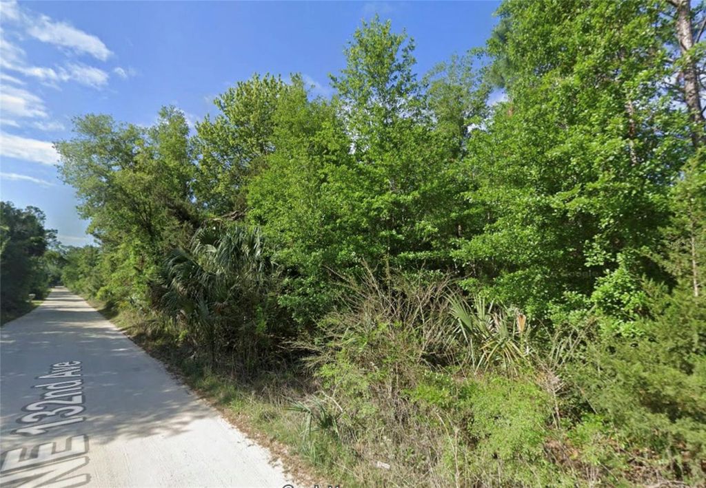 Photo of 4426 NE 132nd Avenue, Silver Springs, FL 34488 (MLS # OM710824)