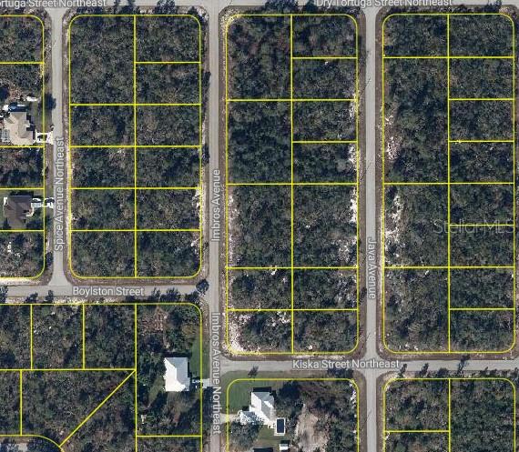 PLACID LAKES SEC 20 - Land