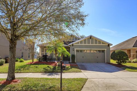 A home in MOUNT DORA