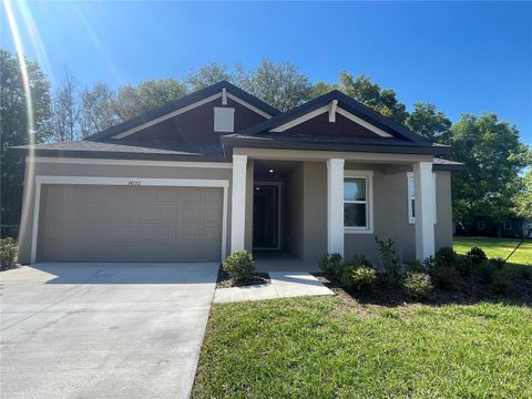 Photo of 34772 Mulrion Drive, Zephyrhills, FL 33541 (MLS # S5146288)