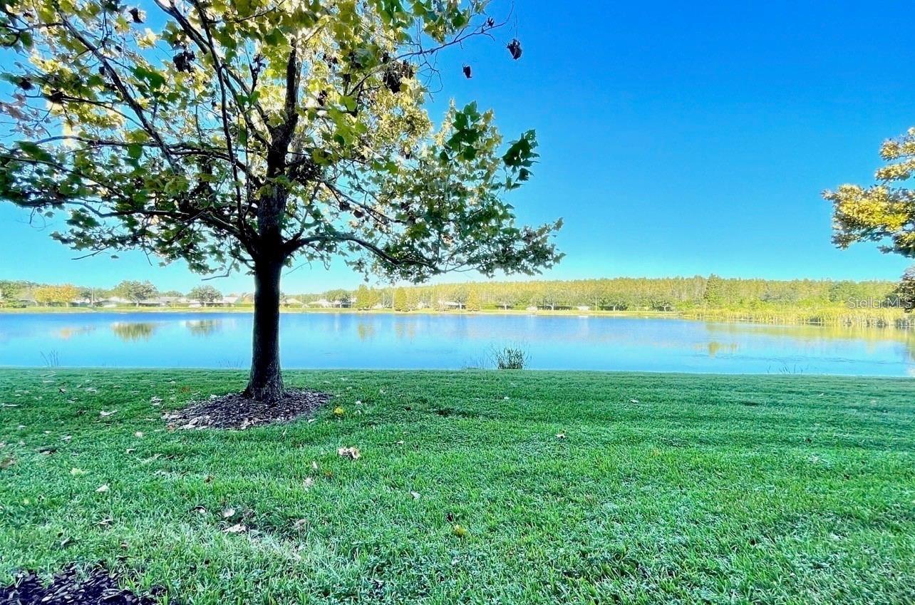 LAKEVIEW AT CALUSA TRACE - Residential Lease