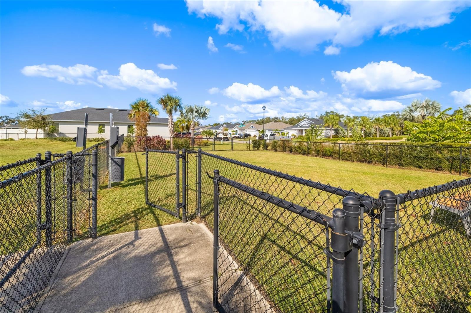GRADY POINTE - Residential