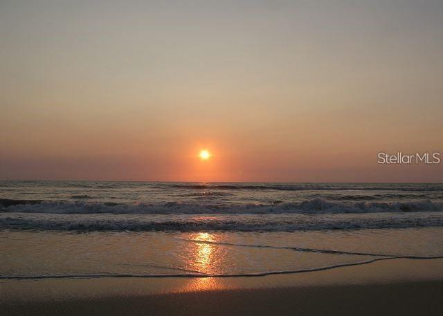 OCEAN HAMMOCK - Residential